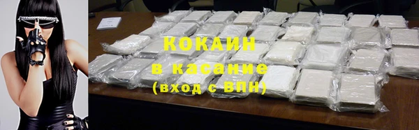 твердый Магас
