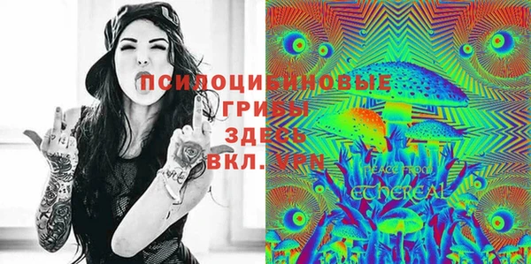 твердый Магас