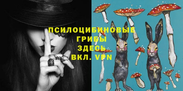 ГАЛЛЮЦИНОГЕННЫЕ ГРИБЫ Вяземский