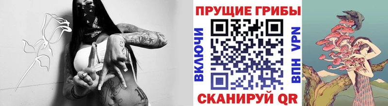 Галлюциногенные грибы Psilocybe  Топки 